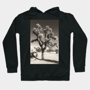 Joshua Tree bw Hoodie